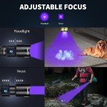 UV Rechargeable Flashlight for Pet Stains Detection