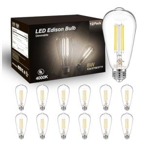 DAYBETTER 12 Pack Dimmable Vintage LED Bulbs
