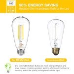 DAYBETTER 12 Pack Dimmable Vintage LED Bulbs