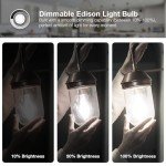 DAYBETTER 12 Pack Dimmable Vintage LED Bulbs