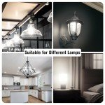 DAYBETTER 12 Pack Dimmable Vintage LED Bulbs