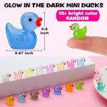 Glow-in-the-Dark Mini Resin Ducks - 240 Pack