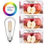 Vintage Edison LED Bulbs Pack of 6