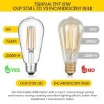 Vintage Edison LED Bulbs Pack of 6