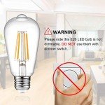 Edison Style LED Bulbs, 6W Warm White Pack