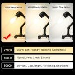 Edison Style LED Bulbs, 6W Warm White Pack