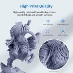ANYCUBIC High Precision 3D Printer Resin, 1kg