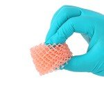 F80 Pink High Elasticity 3D Printer Resin 500g