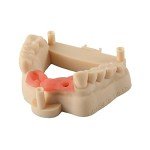 F80 Pink High Elasticity 3D Printer Resin 500g