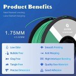 R QIDI 1.75mm ABS Filament - 1kg Green Spool