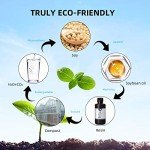 ANYCUBIC 405nm Low Odor Plant-Based 3D Resin