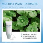 Madagascar Cica Sunscreen SPF 50+ - Hydrating & Soothing