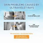 Korean Organic Sunscreen SPF50 with Birch Juice