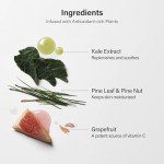 Melixir Vegan Airfit SPF 50 Sunscreen for Sensitive Skin