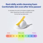 Real Barrier Cream Cleansing Foam – Moisturizing Face Wash