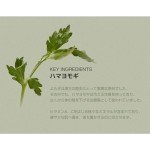 Beauty of Joseon Matte Sun Stick: Mugwort & Camellia