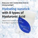 Isntree Hyaluronic Acid Sun Stick 22g