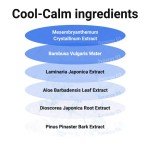 Isntree Hyaluronic Acid Sun Stick 22g