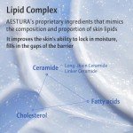 Aestura Atobarrier 365 Ceramide Moisturizer 80mL