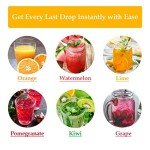 Stainless Steel Lemon Squeezer and Zester Tool