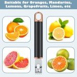 2-Pack Dual Lemon Zester and Peeler Tool