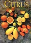Citrus Trees: Your Guide to Growing 100+ Varieties