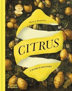 Citrus Trees: A Fascinating Global Journey