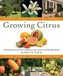 Citrus Trees: Your Essential Growing Guide