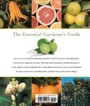 Citrus Trees: Your Essential Growing Guide