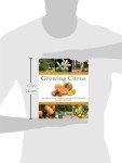 Citrus Trees: Your Essential Growing Guide