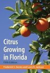 Grow Citrus Trees in Florida Garten