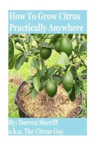 Grow Citrus Trees Anywhere You Live