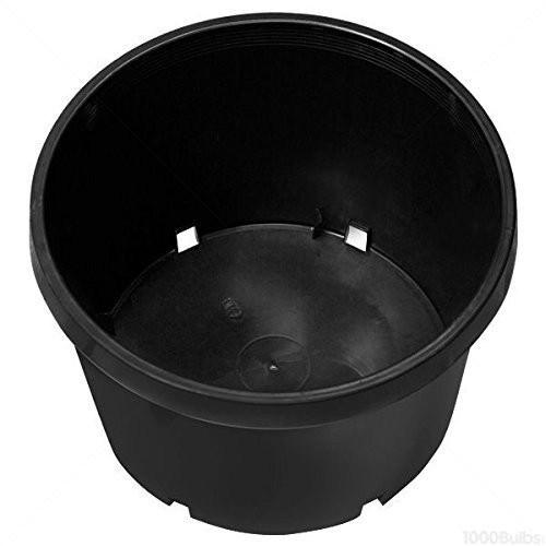 Containers to Grow In