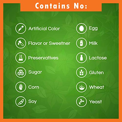 Green Tea Extract 500mg - 250 Capsules