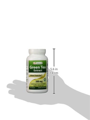Green Tea Extract 500mg - 250 Capsules