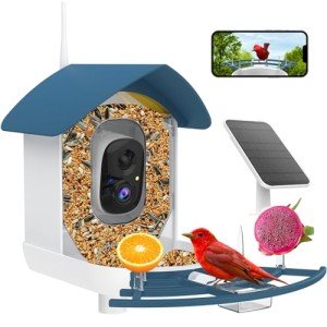 AI Bird Feeder Camera - Smart 2K Video Alerts