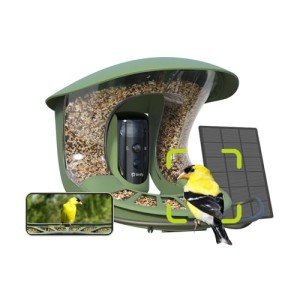 Smart Bird Feeder with Camera and AI Detection