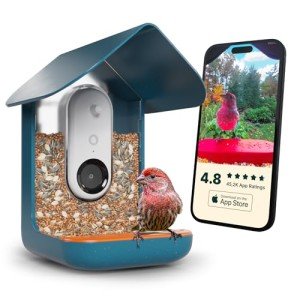Smart Bird Feeder with Camera - AI Species ID