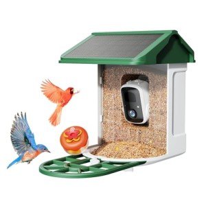 Smart Bird Feeder Camera with AI Species Identification