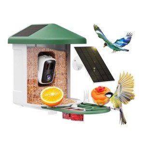 Smart Bird Feeder with AI Camera and Alerts
