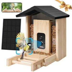 AI Smart Bird Feeder with HD Camera & Notifications