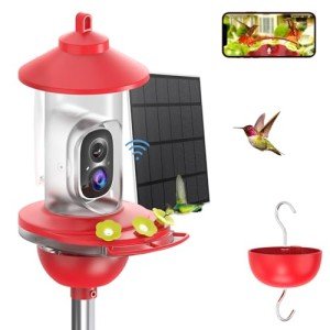 Solar-Powered Hummingbird Feeder with 2K Camera