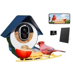 Smart Bird Feeder Camera with AI Identification