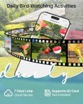 Smart Bird Feeder with 2K HD Camera