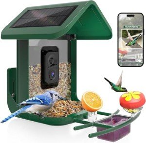 Solar-Powered Bird Feeder Camera with Live Feed