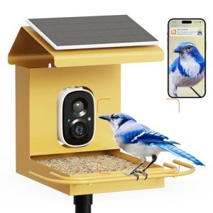 Smart Bird Feeder with Camera and Solar Power
