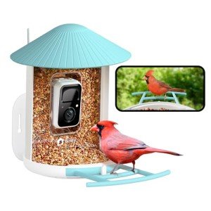 Smart Bird Feeder with Camera for Bird Watching