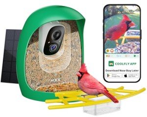HIXX® Smart Bird Feeder with AI Camera