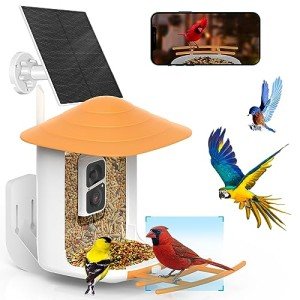 Smart Bird Feeder Camera with AI Species ID