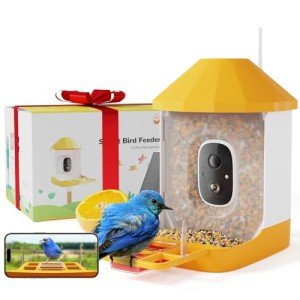 Smart Bird Feeder with Camera and AI Identification